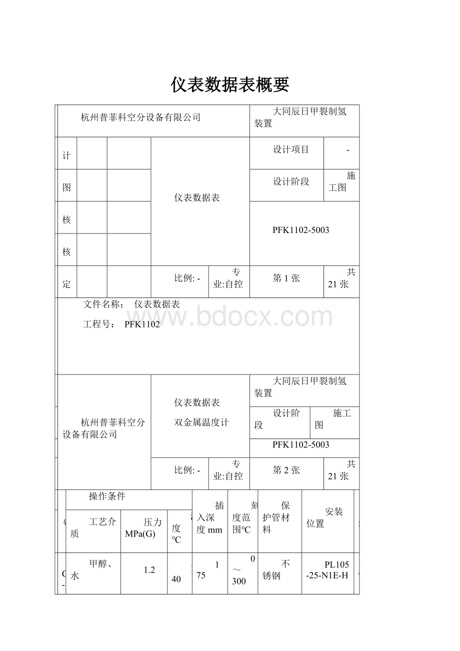 仪表数据表概要.docx