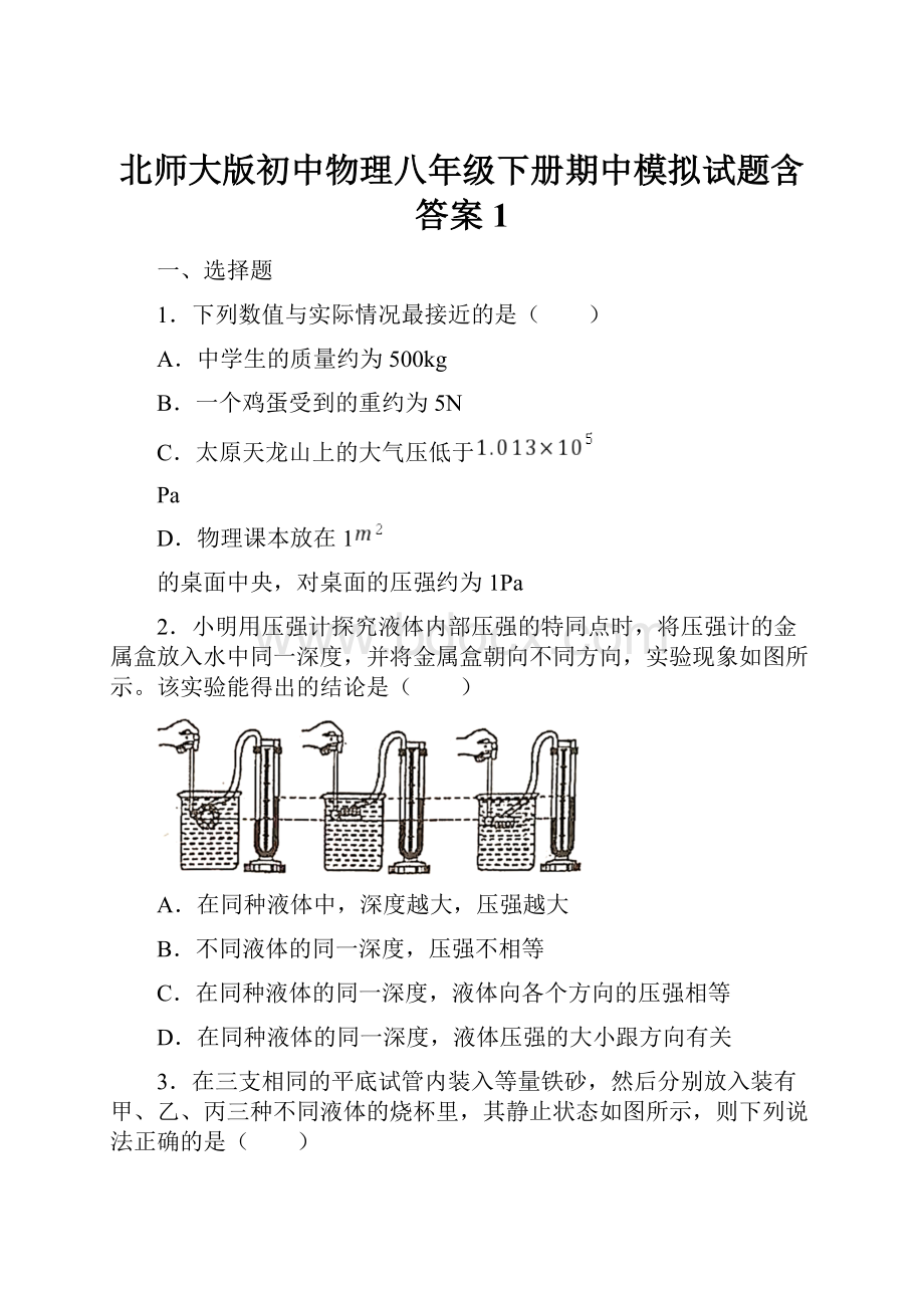 北师大版初中物理八年级下册期中模拟试题含答案1.docx