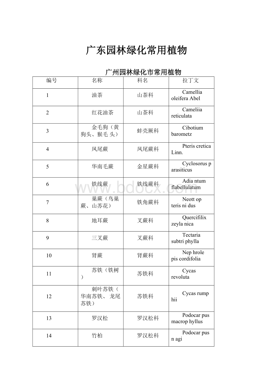 广东园林绿化常用植物.docx