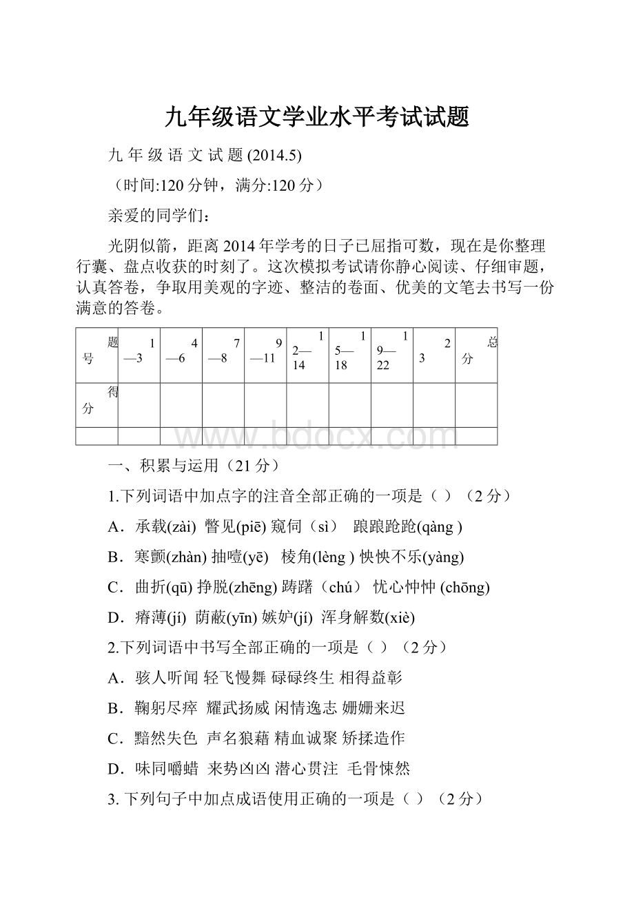 九年级语文学业水平考试试题.docx