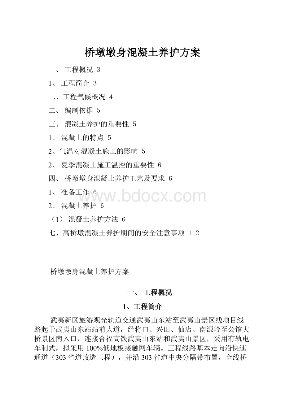 桥墩墩身混凝土养护方案.docx