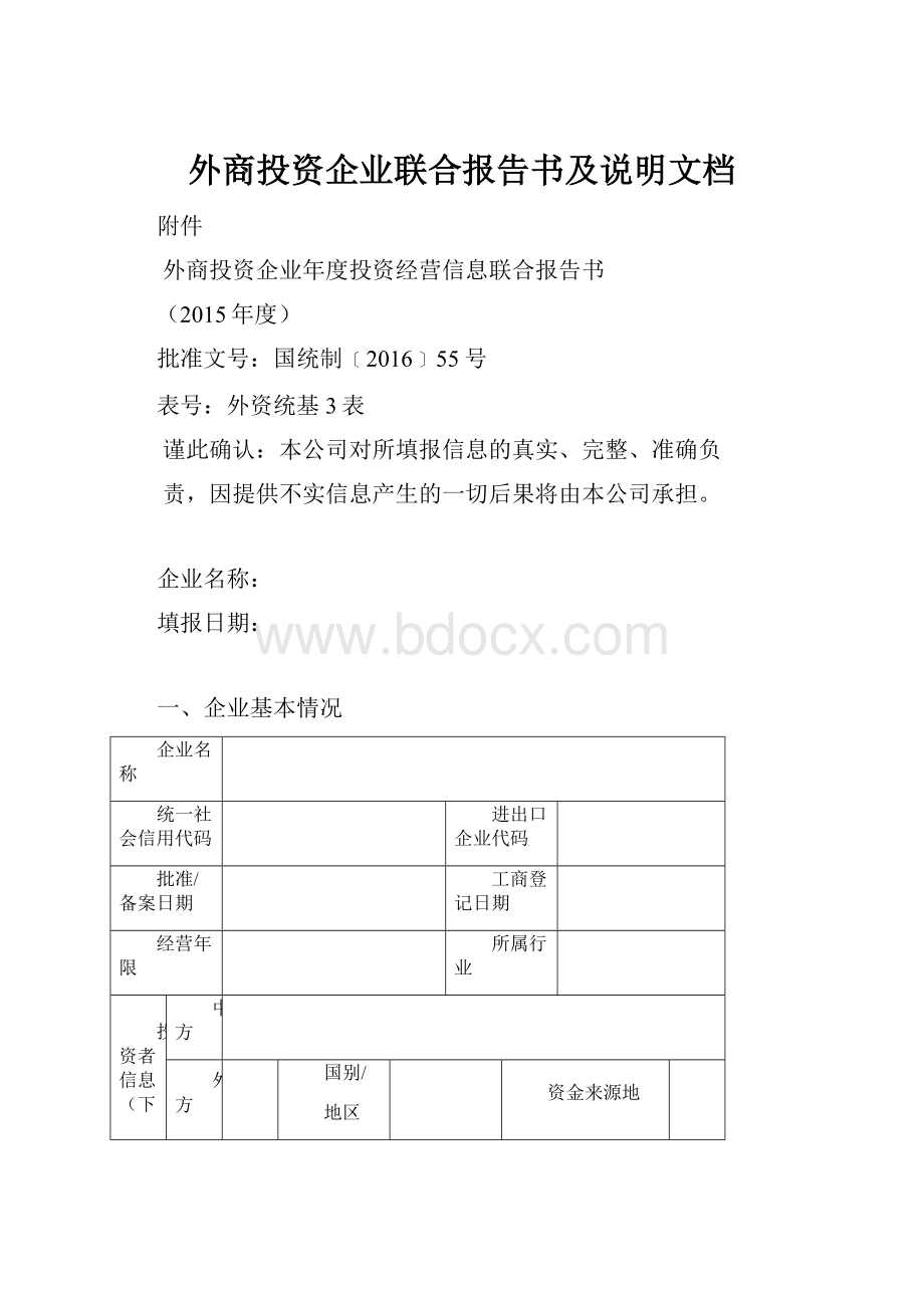 外商投资企业联合报告书及说明文档.docx