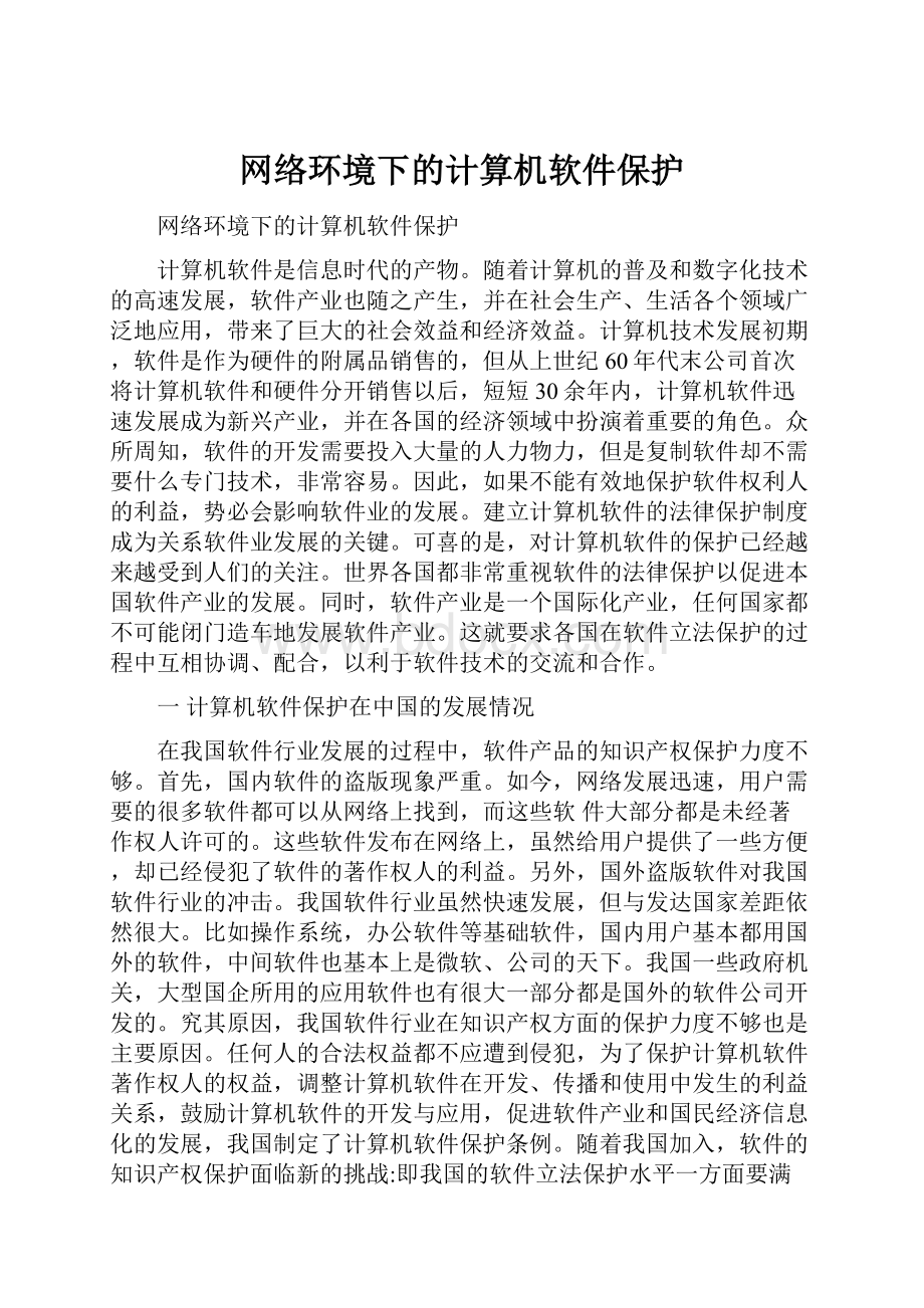 网络环境下的计算机软件保护.docx