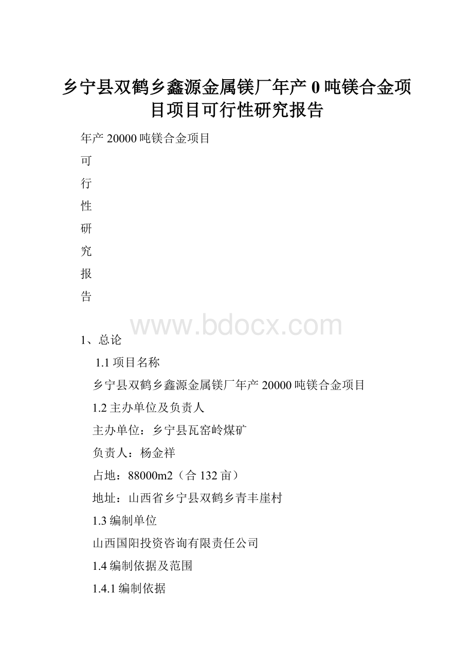 乡宁县双鹤乡鑫源金属镁厂年产0吨镁合金项目项目可行性研究报告.docx