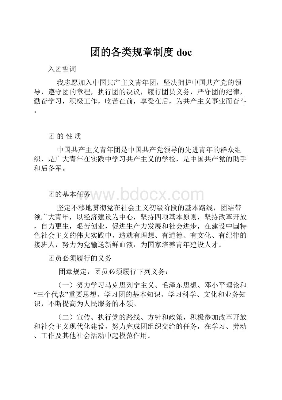 团的各类规章制度doc.docx