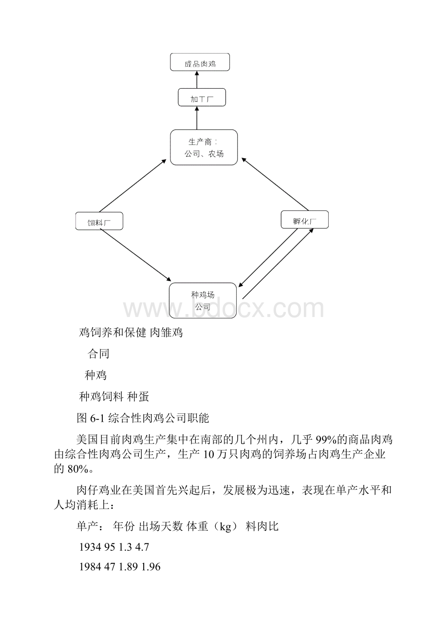 肉鸡生产流程.docx_第3页