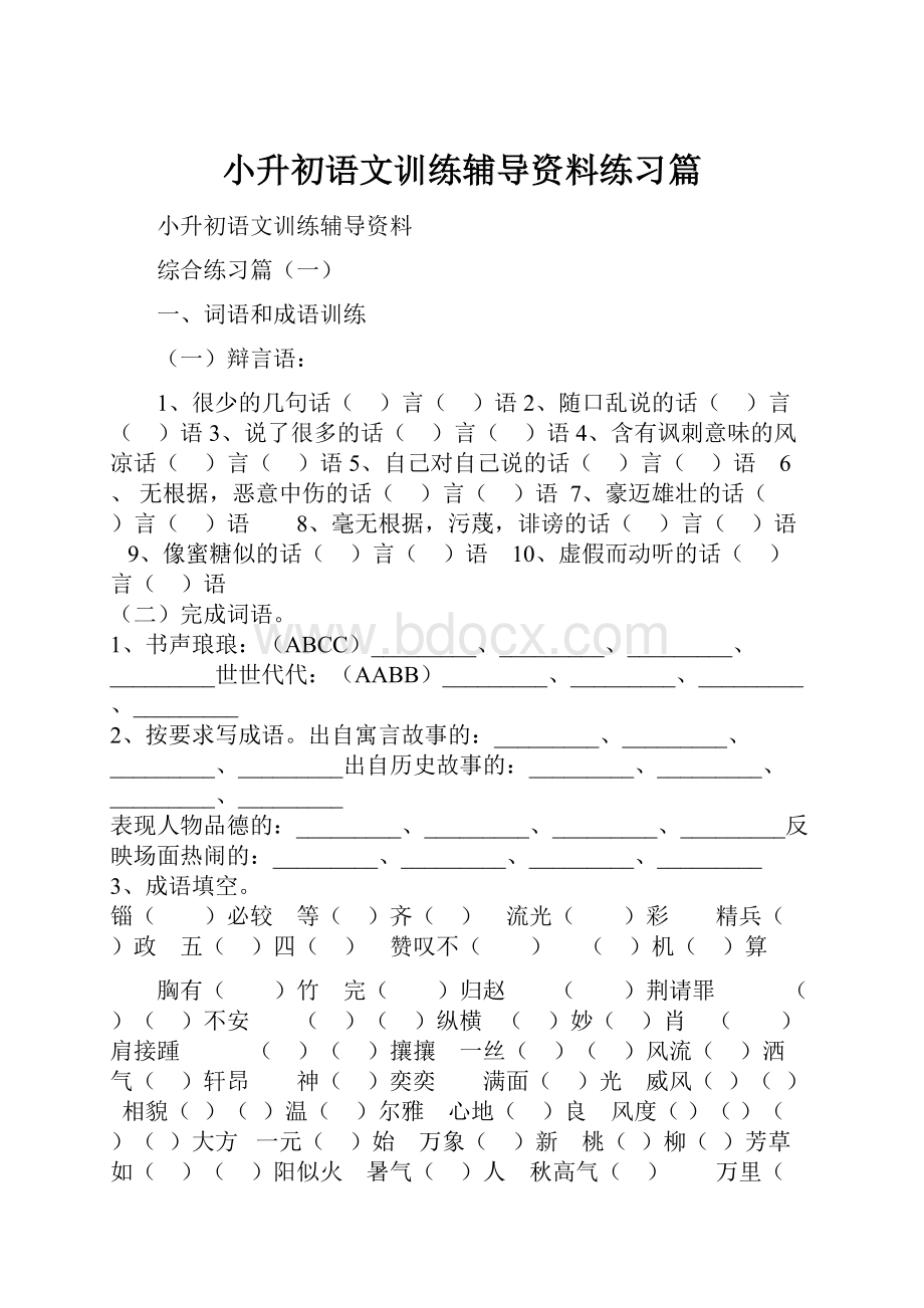 小升初语文训练辅导资料练习篇.docx