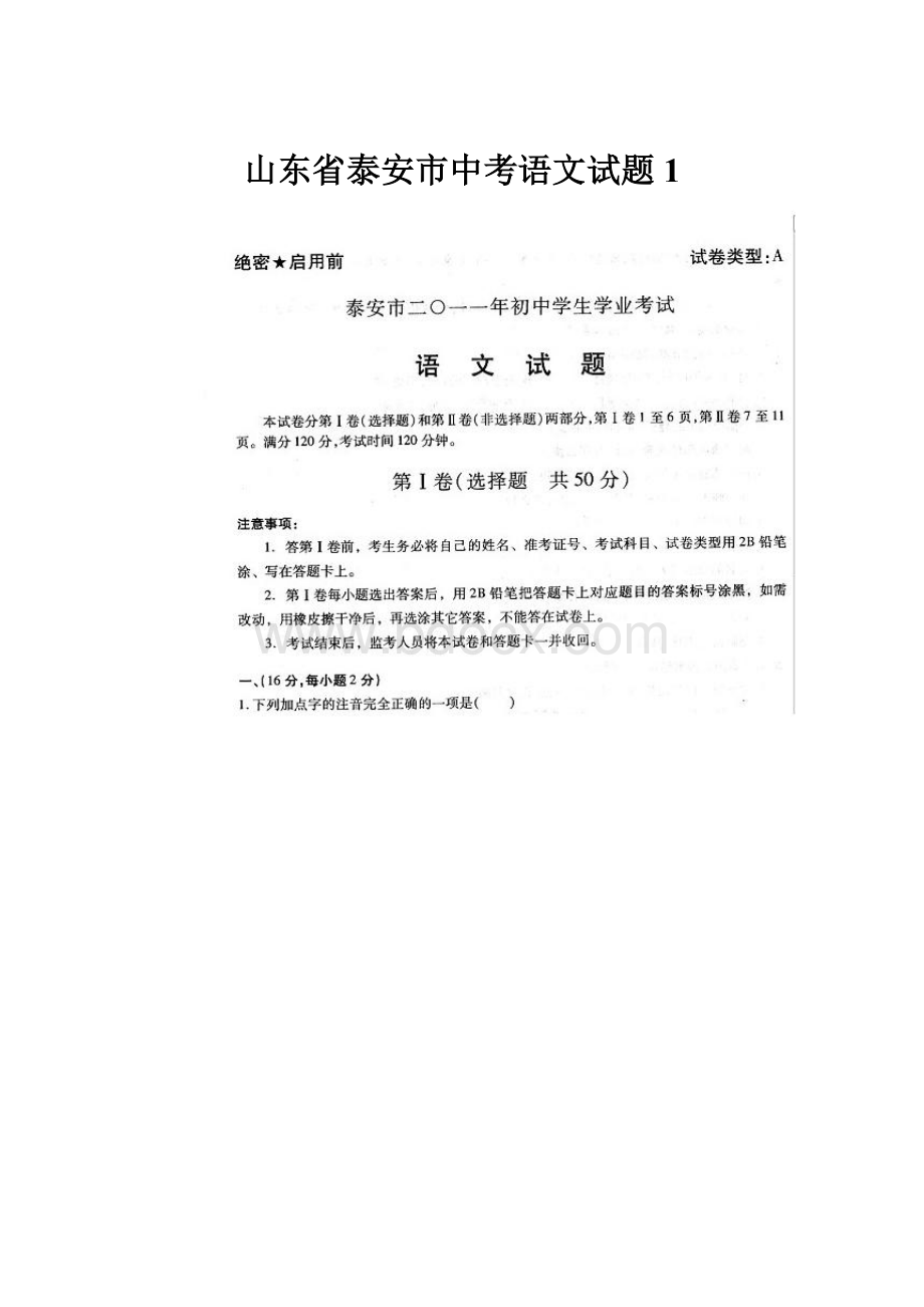 山东省泰安市中考语文试题1.docx