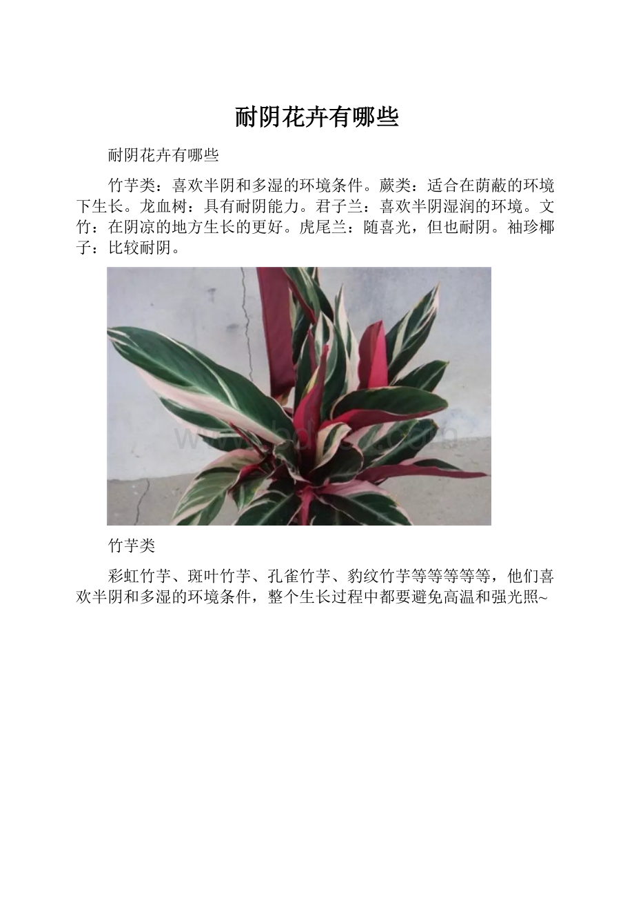 耐阴花卉有哪些.docx