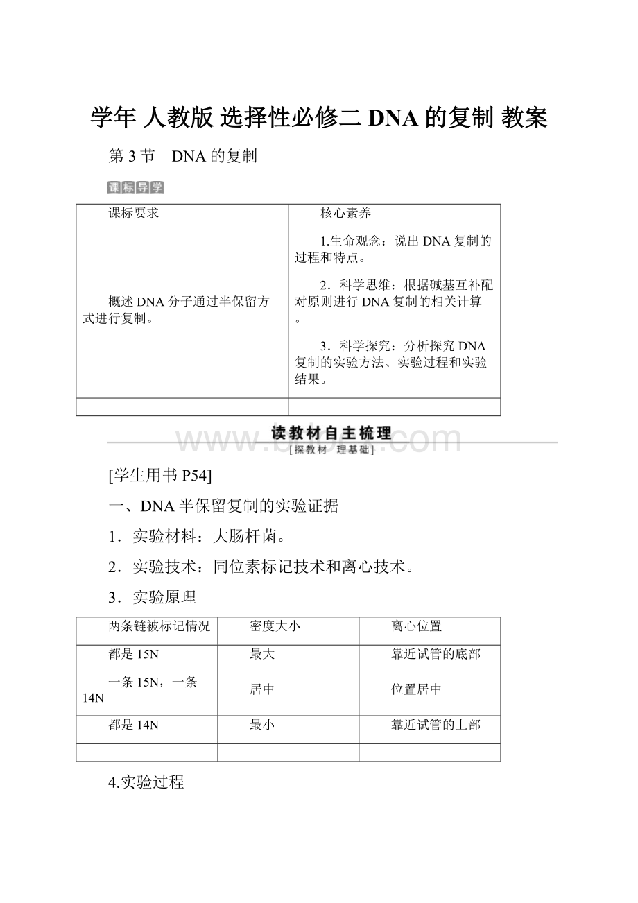 学年 人教版 选择性必修二 DNA的复制 教案.docx