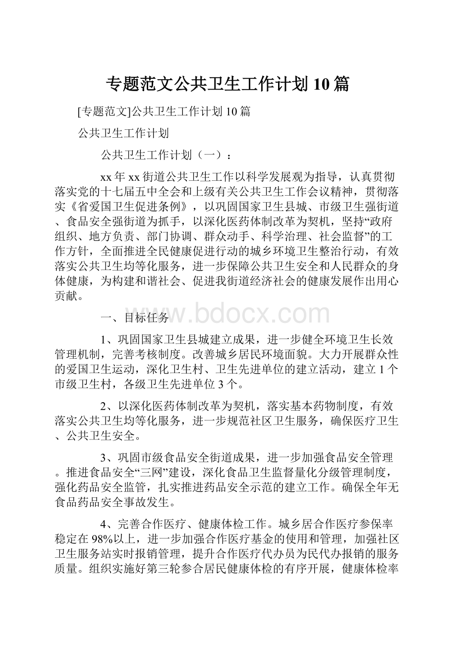 专题范文公共卫生工作计划10篇.docx