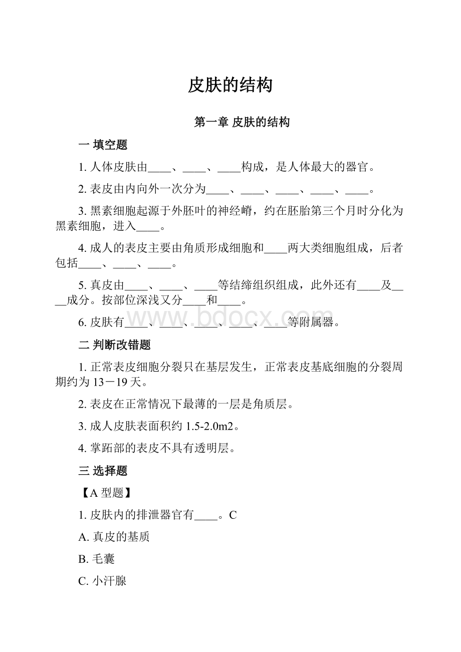 皮肤的结构.docx