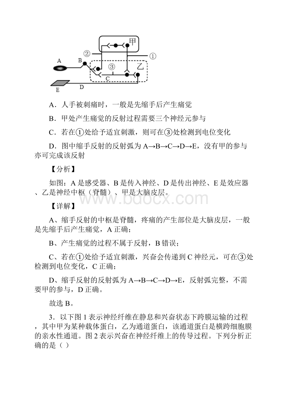 第2章 动物和人体生命活动的调节解析版.docx_第2页