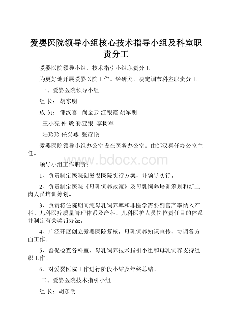 爱婴医院领导小组核心技术指导小组及科室职责分工.docx