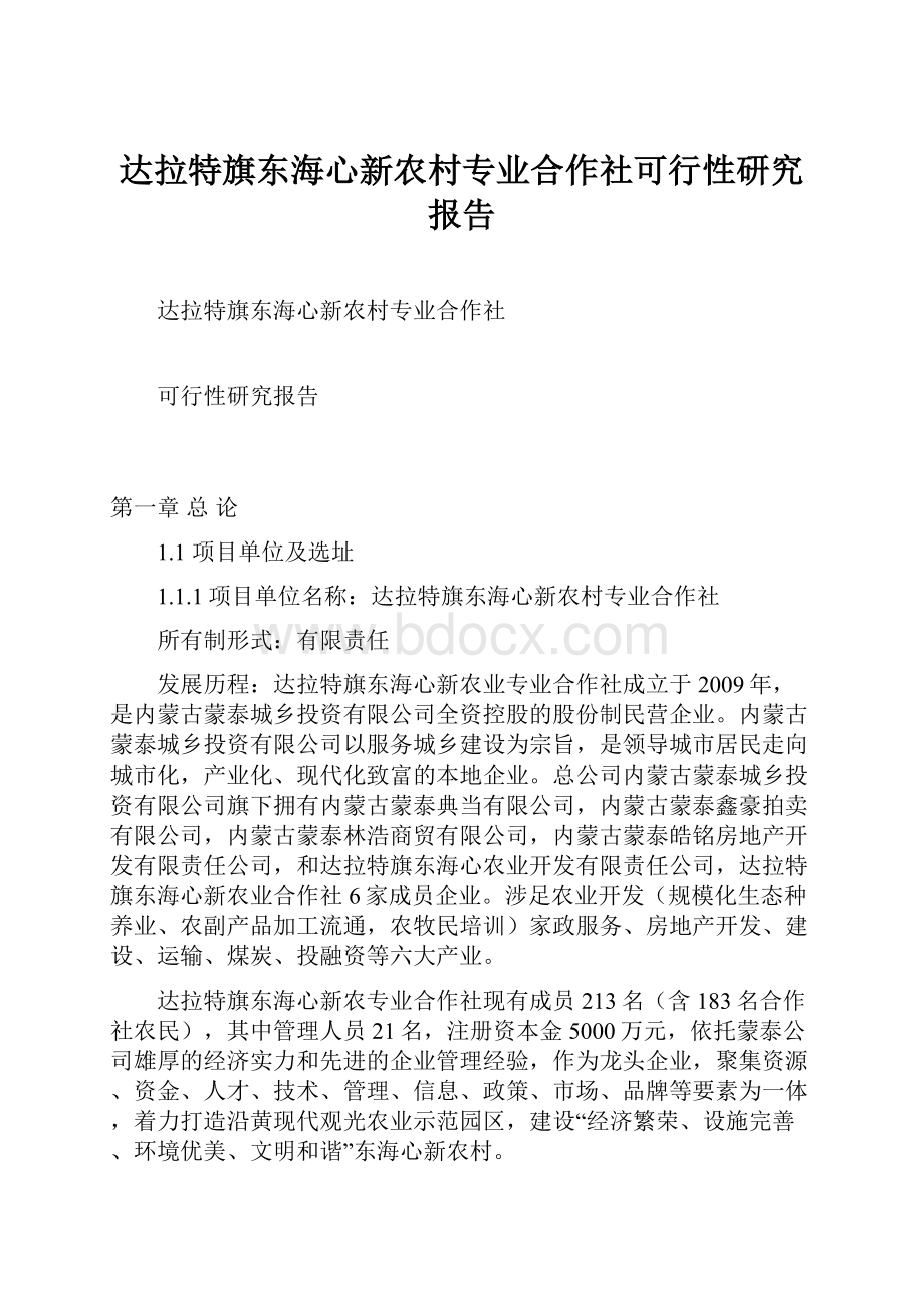 达拉特旗东海心新农村专业合作社可行性研究报告.docx_第1页