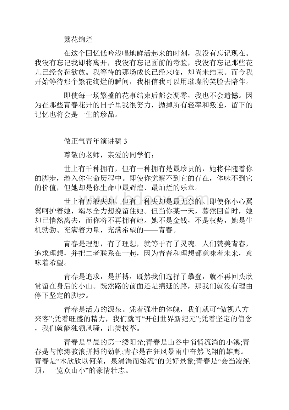 做正气青年演讲稿.docx_第3页