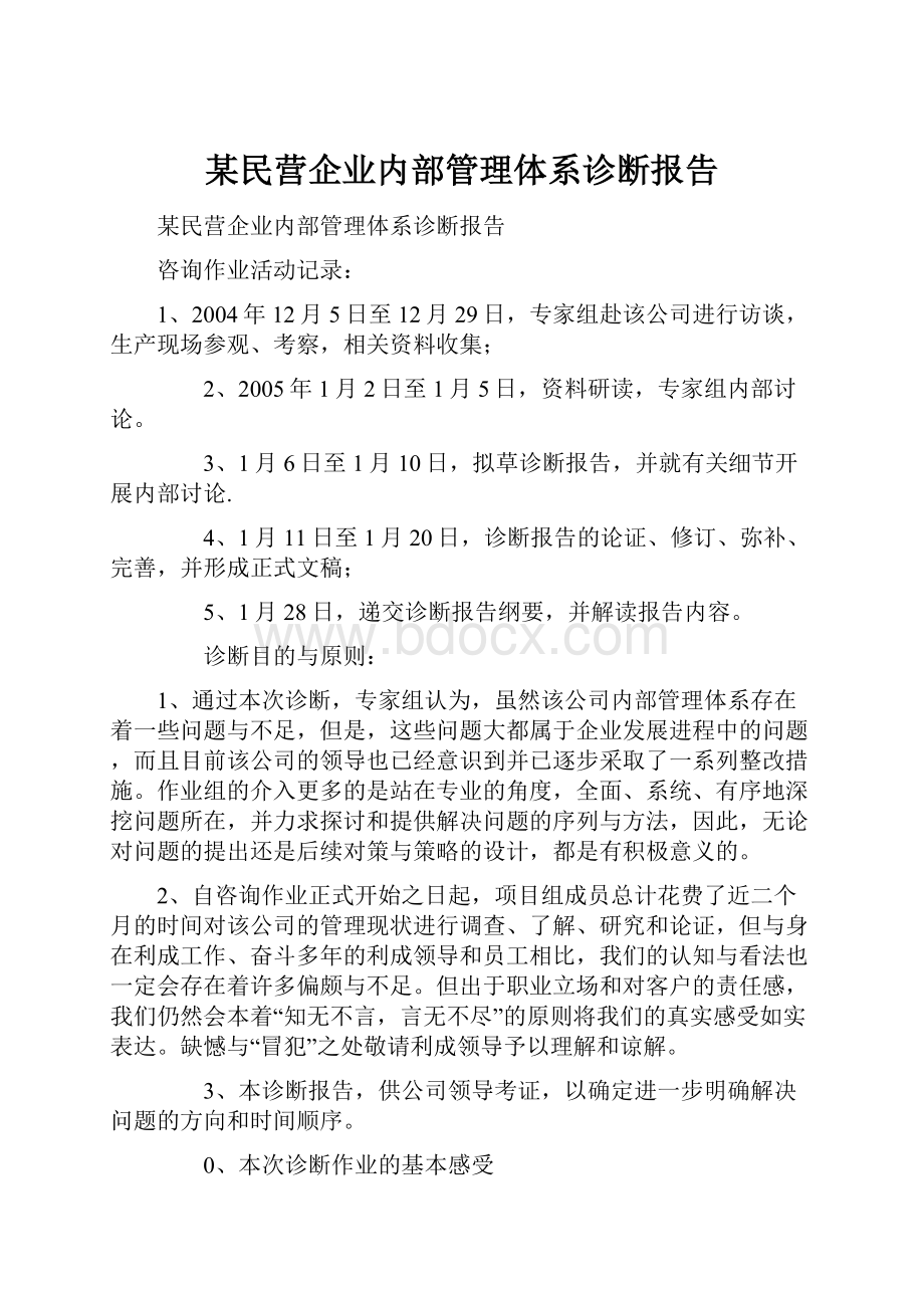 某民营企业内部管理体系诊断报告.docx