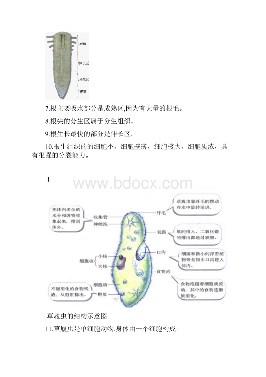 初中生物图专题附题目.docx_第3页