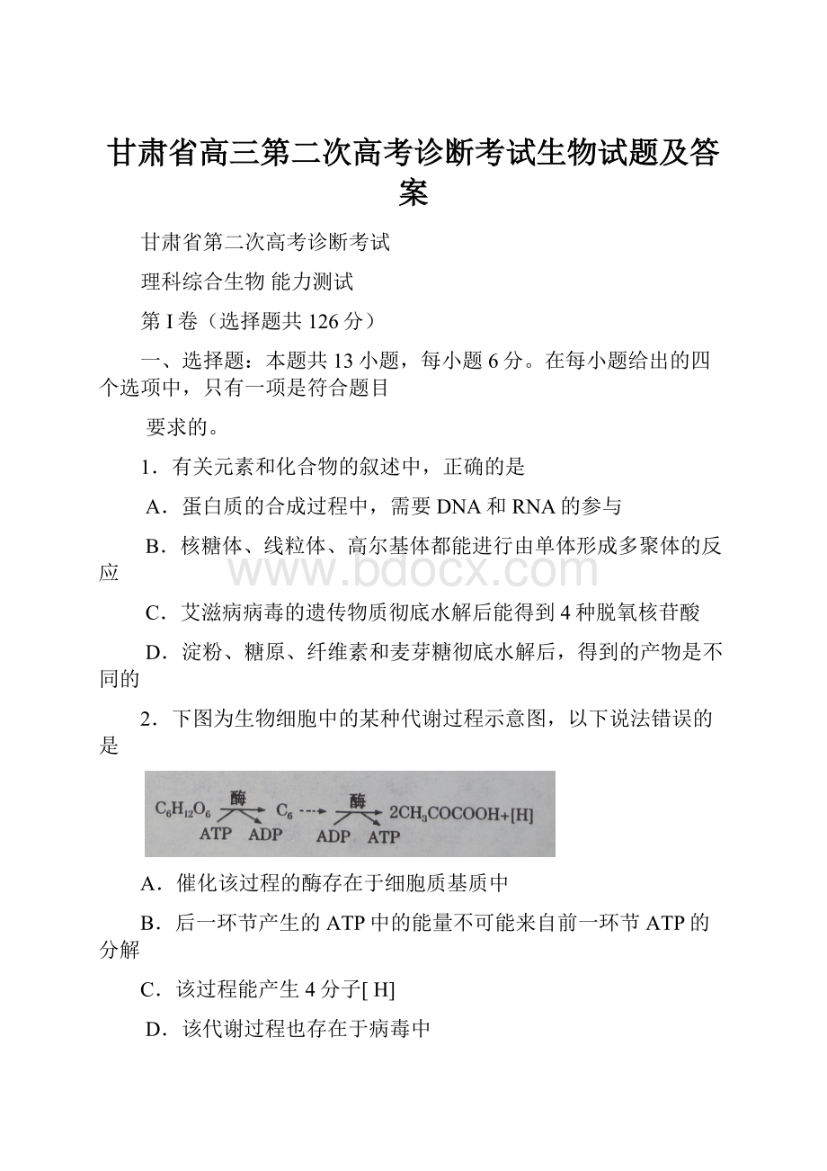 甘肃省高三第二次高考诊断考试生物试题及答案.docx