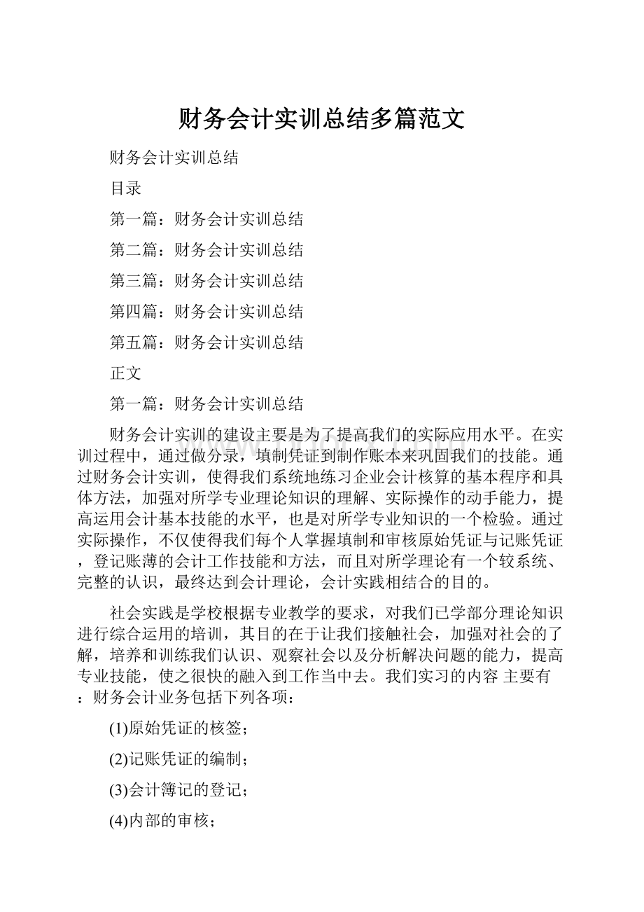 财务会计实训总结多篇范文.docx