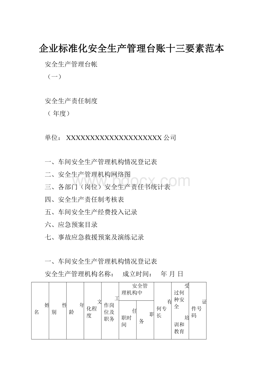 企业标准化安全生产管理台账十三要素范本.docx