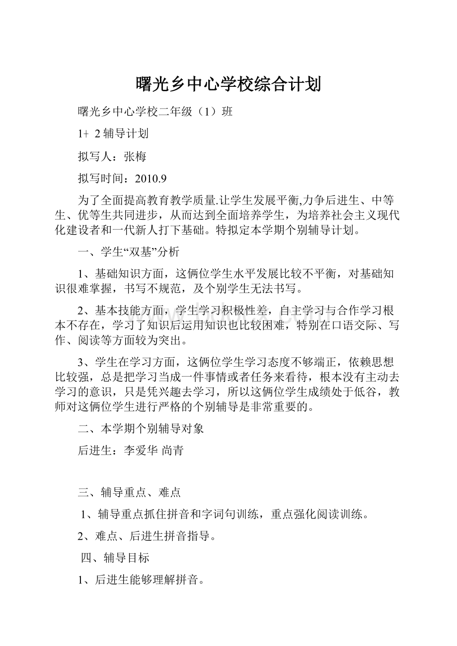 曙光乡中心学校综合计划.docx