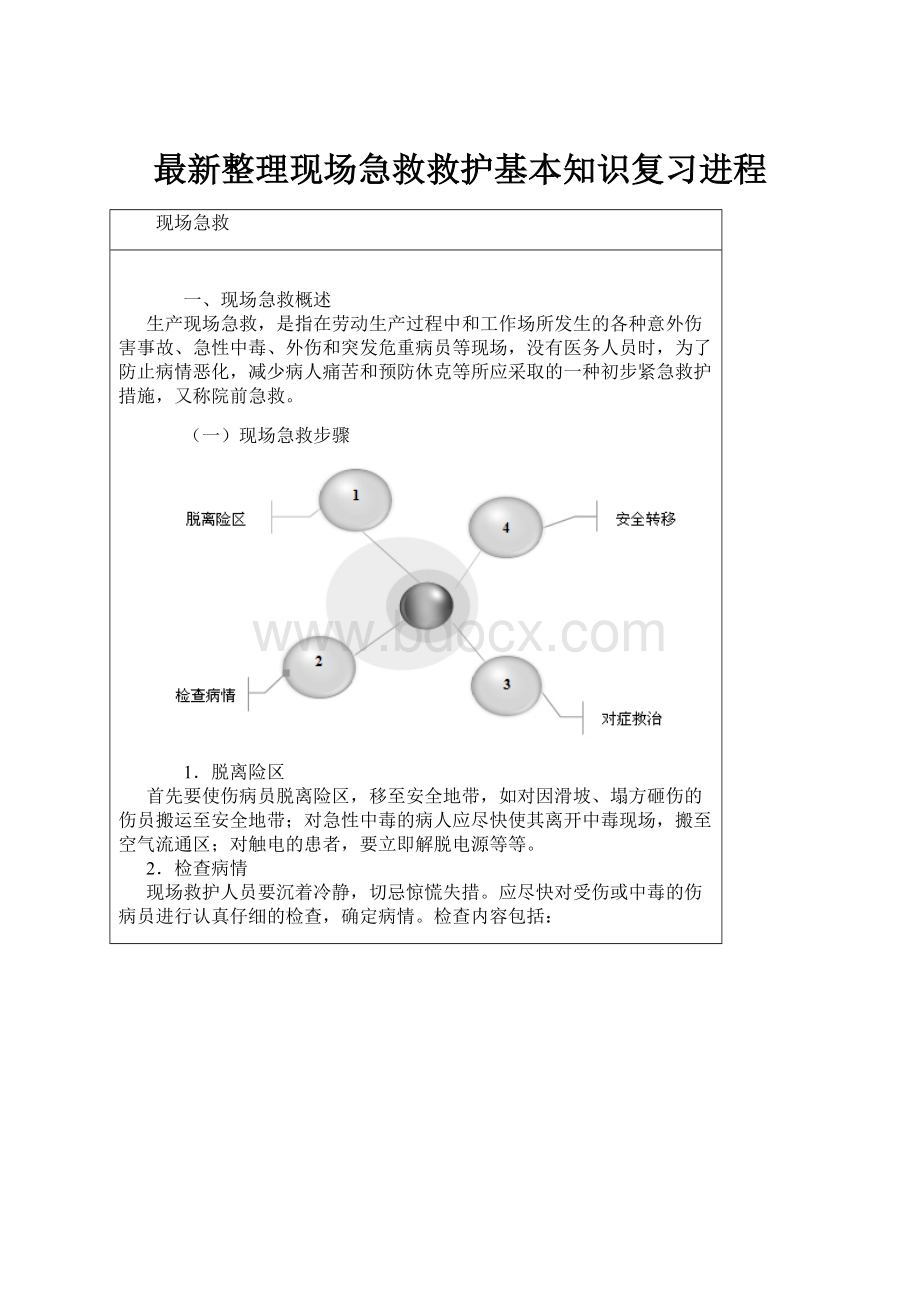 最新整理现场急救救护基本知识复习进程.docx