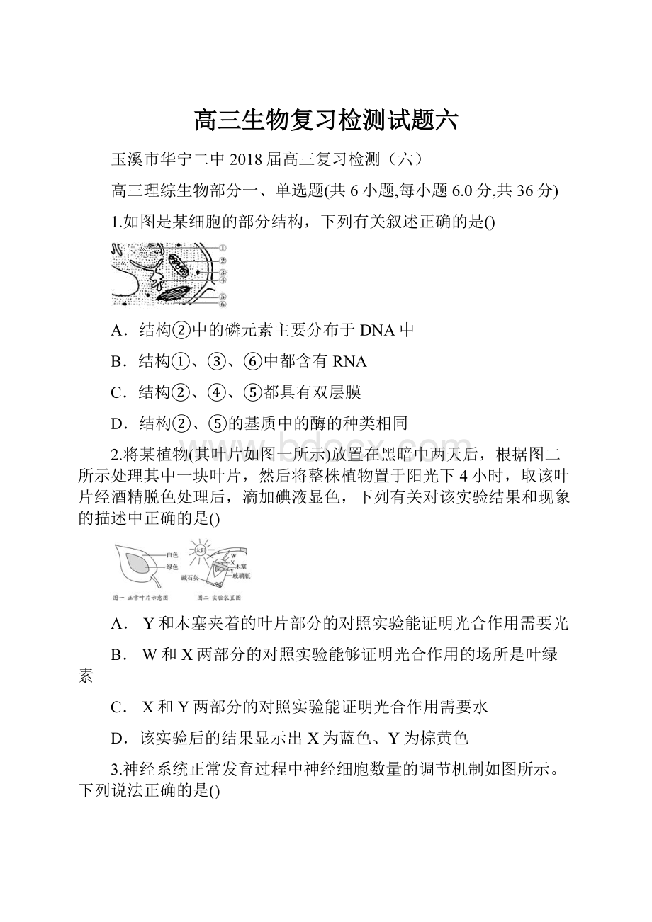 高三生物复习检测试题六.docx