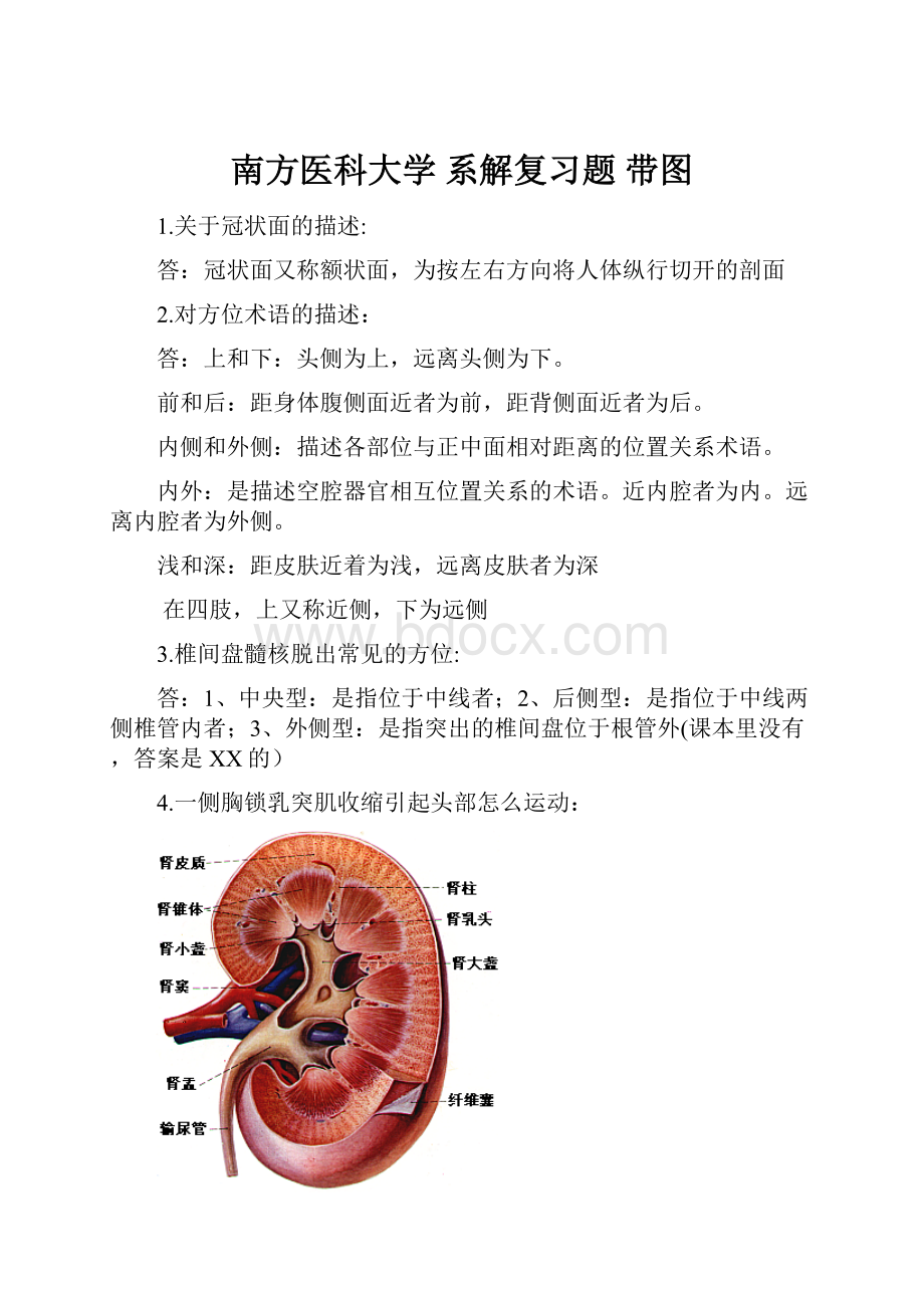 南方医科大学 系解复习题 带图.docx_第1页