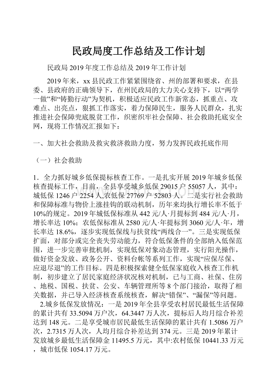 民政局度工作总结及工作计划.docx