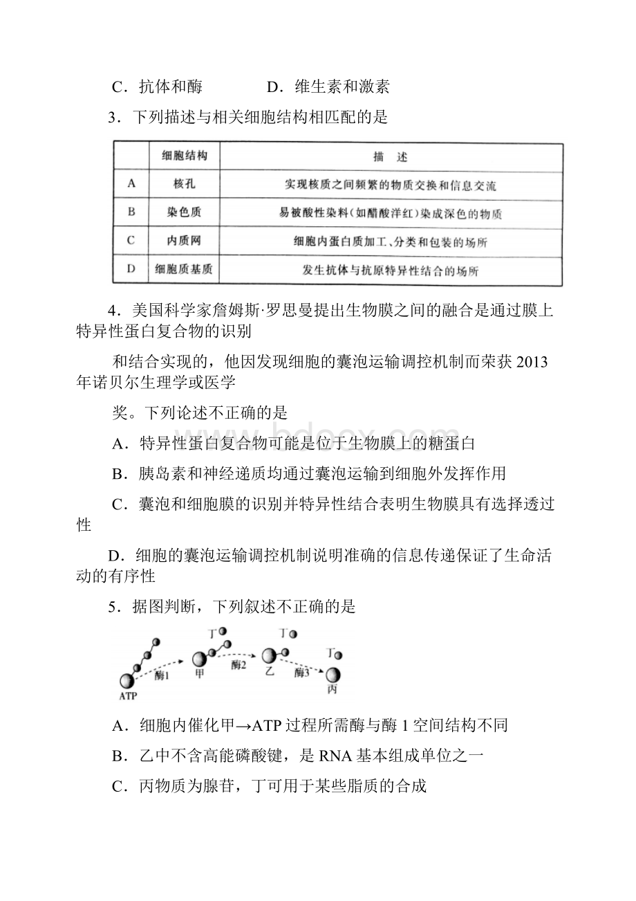 生物卷届北京市东城区高三第一学期期末教学统一检测01WORD版.docx_第2页