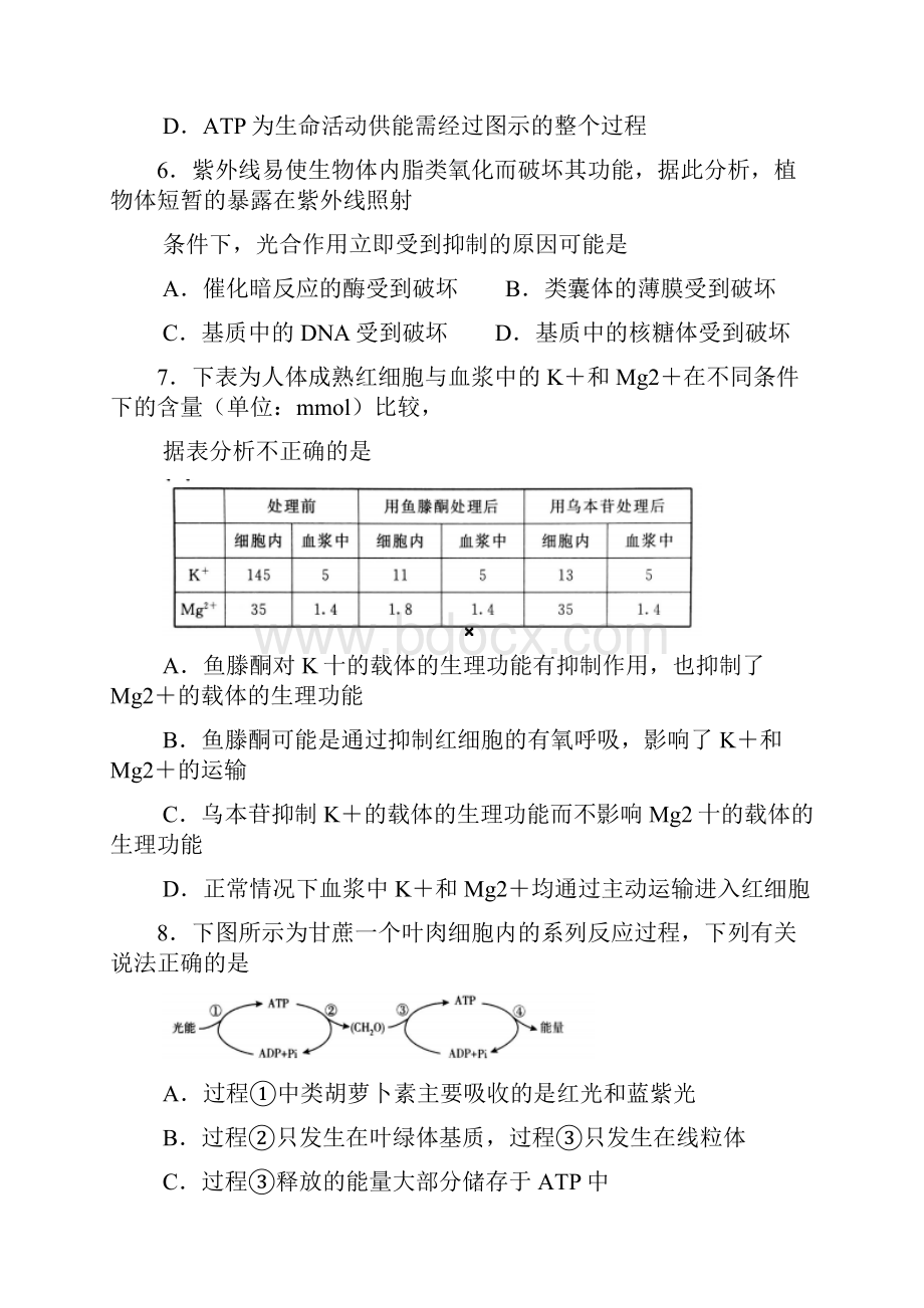 生物卷届北京市东城区高三第一学期期末教学统一检测01WORD版.docx_第3页