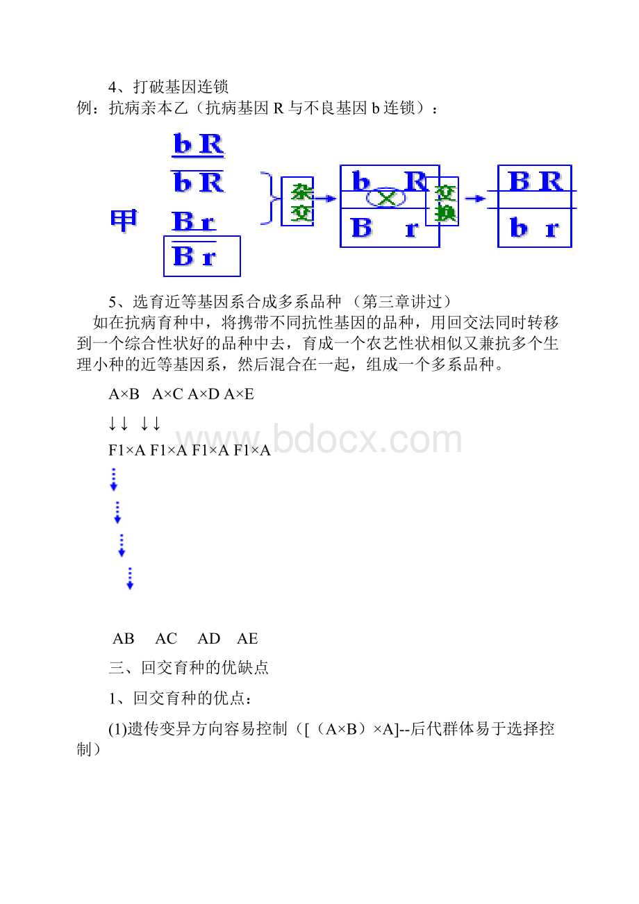 第七章 回交育种.docx_第3页