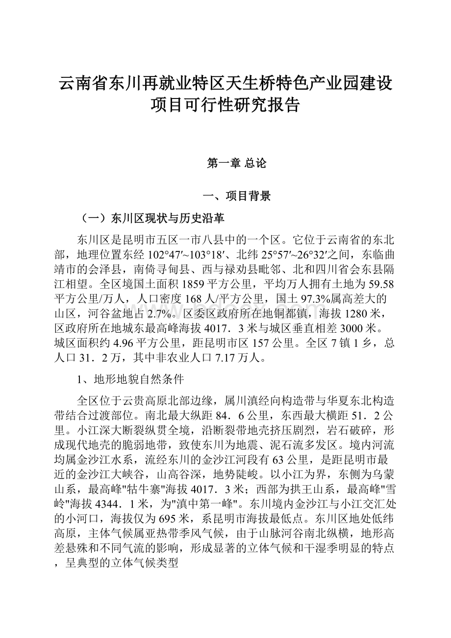 云南省东川再就业特区天生桥特色产业园建设项目可行性研究报告.docx