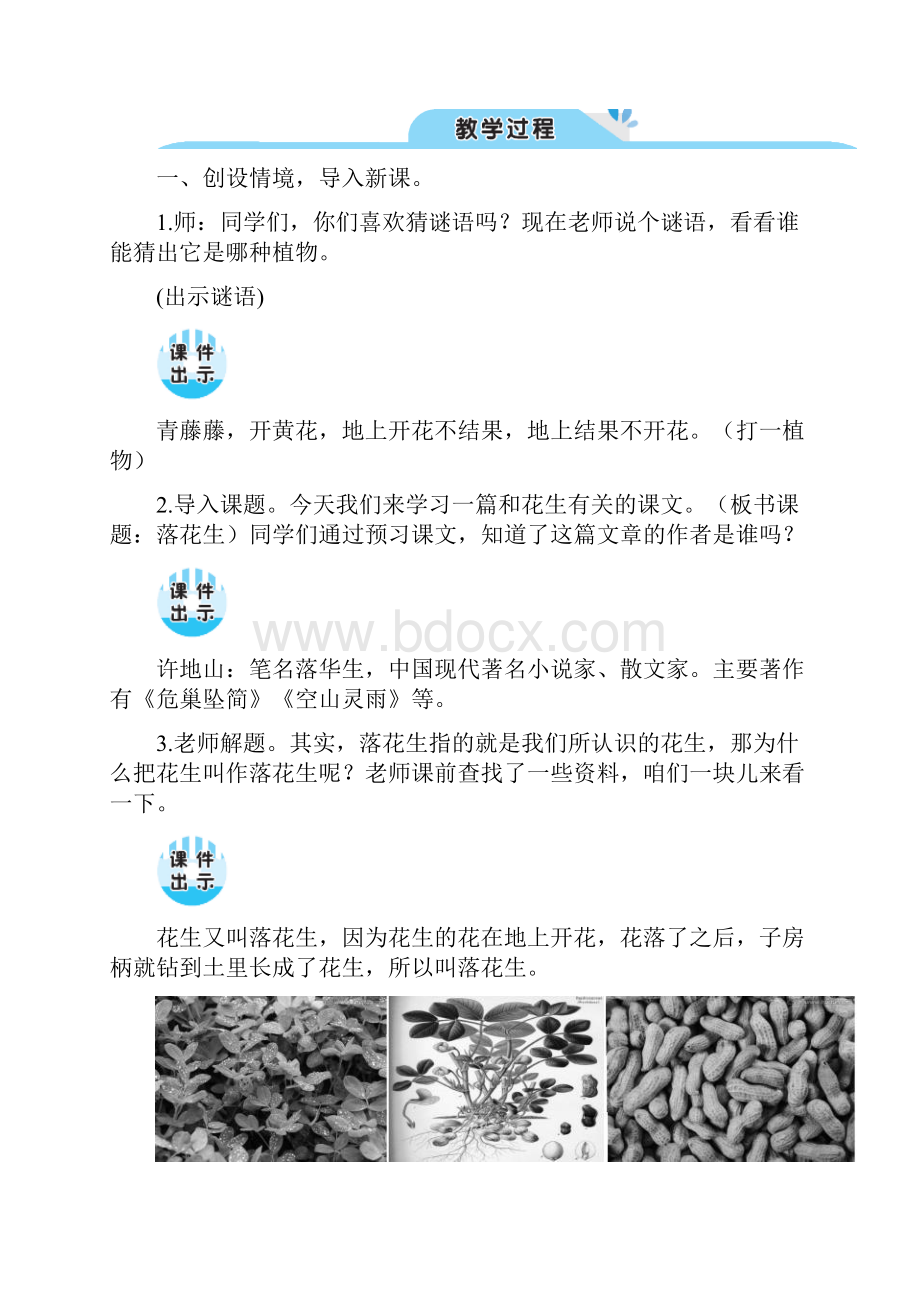 最新部编版五年级上册语文 2 落花生教案.docx_第3页