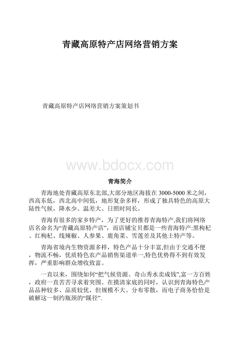 青藏高原特产店网络营销方案.docx