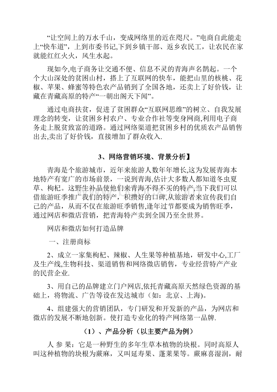 青藏高原特产店网络营销方案.docx_第2页