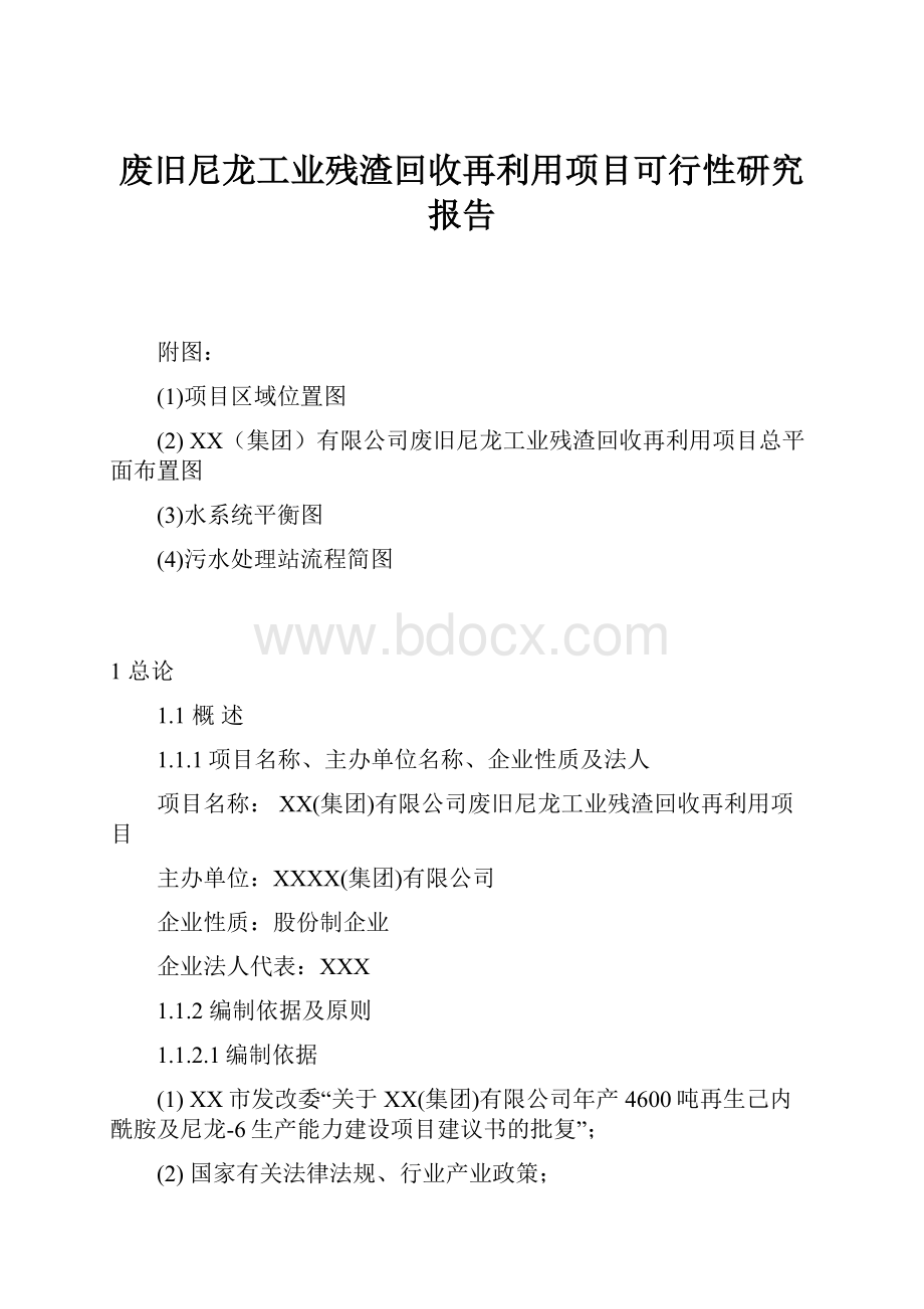 废旧尼龙工业残渣回收再利用项目可行性研究报告.docx_第1页