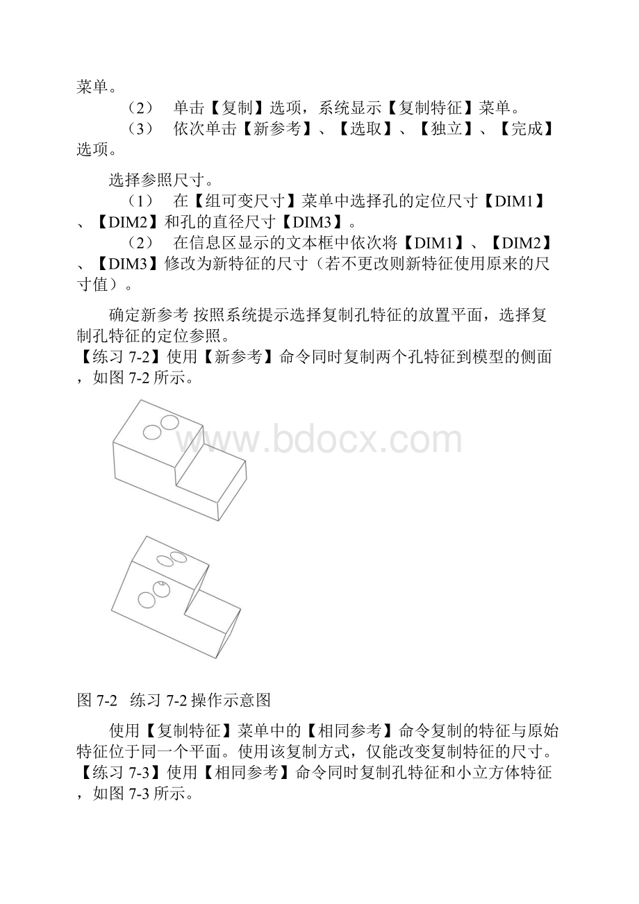 第7章 复制特征10.docx_第2页