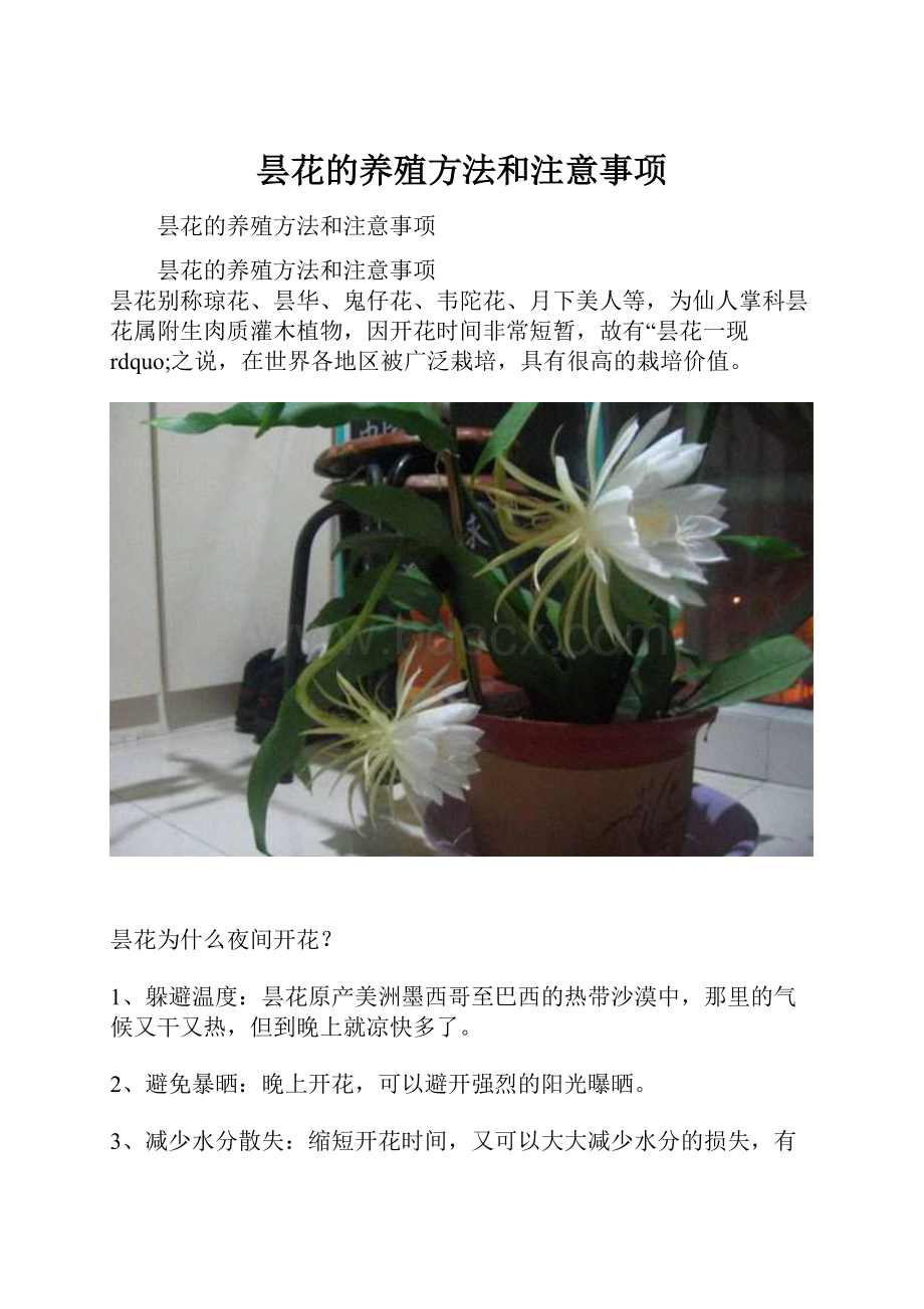 昙花的养殖方法和注意事项.docx