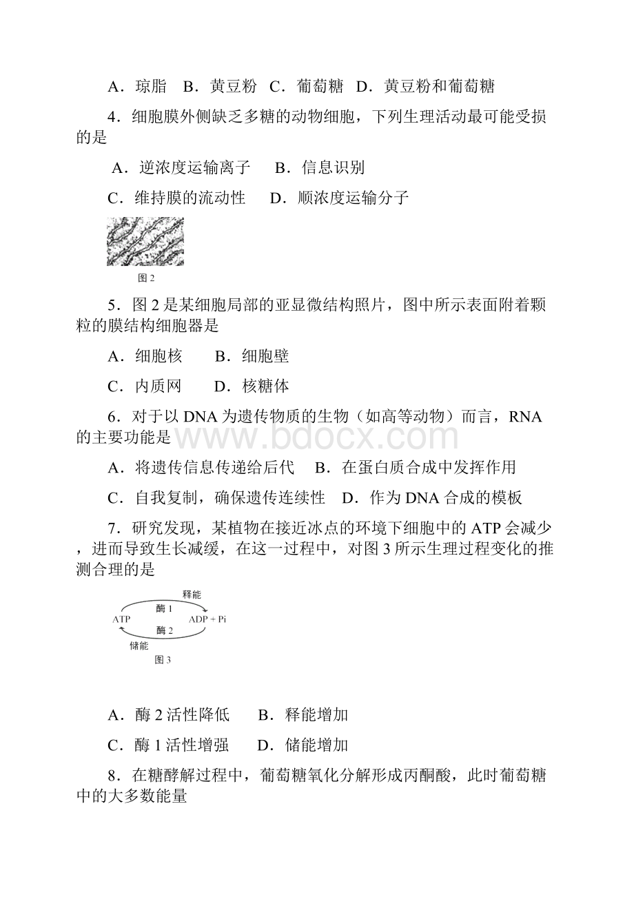 生物二模崇明有答案.docx_第3页