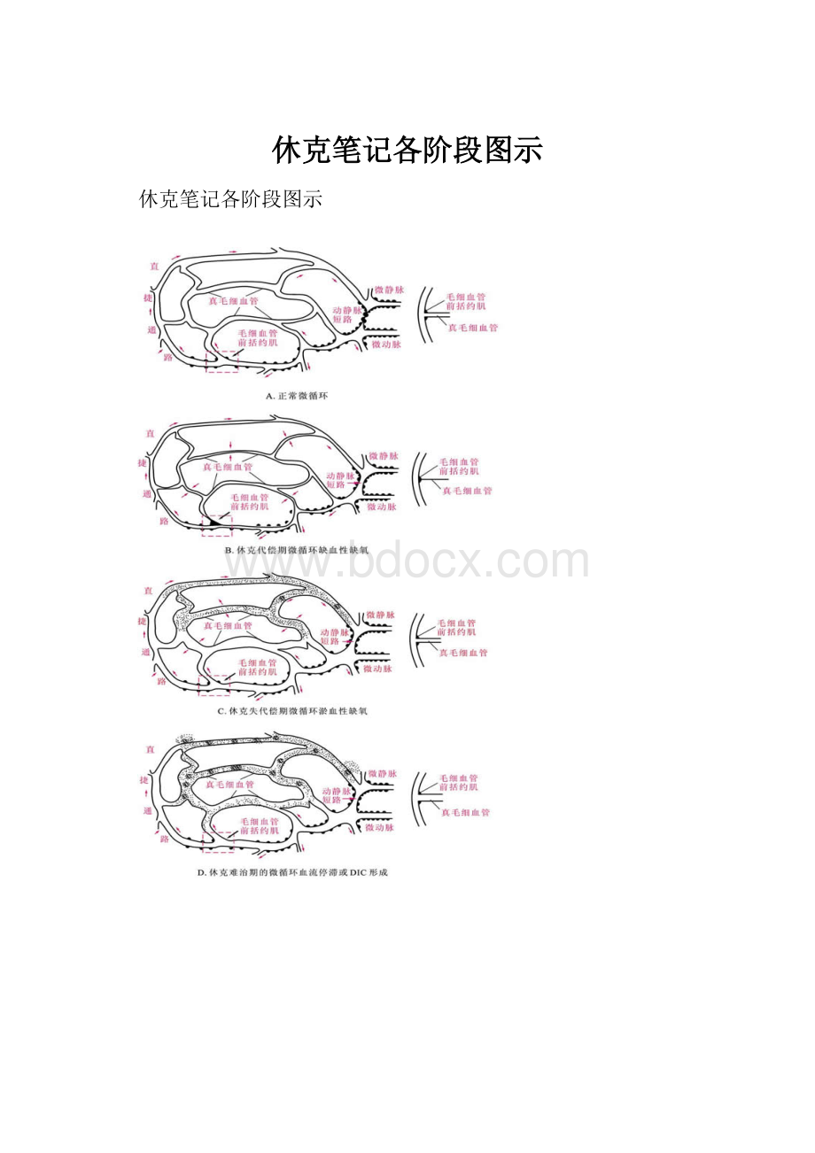 休克笔记各阶段图示.docx_第1页