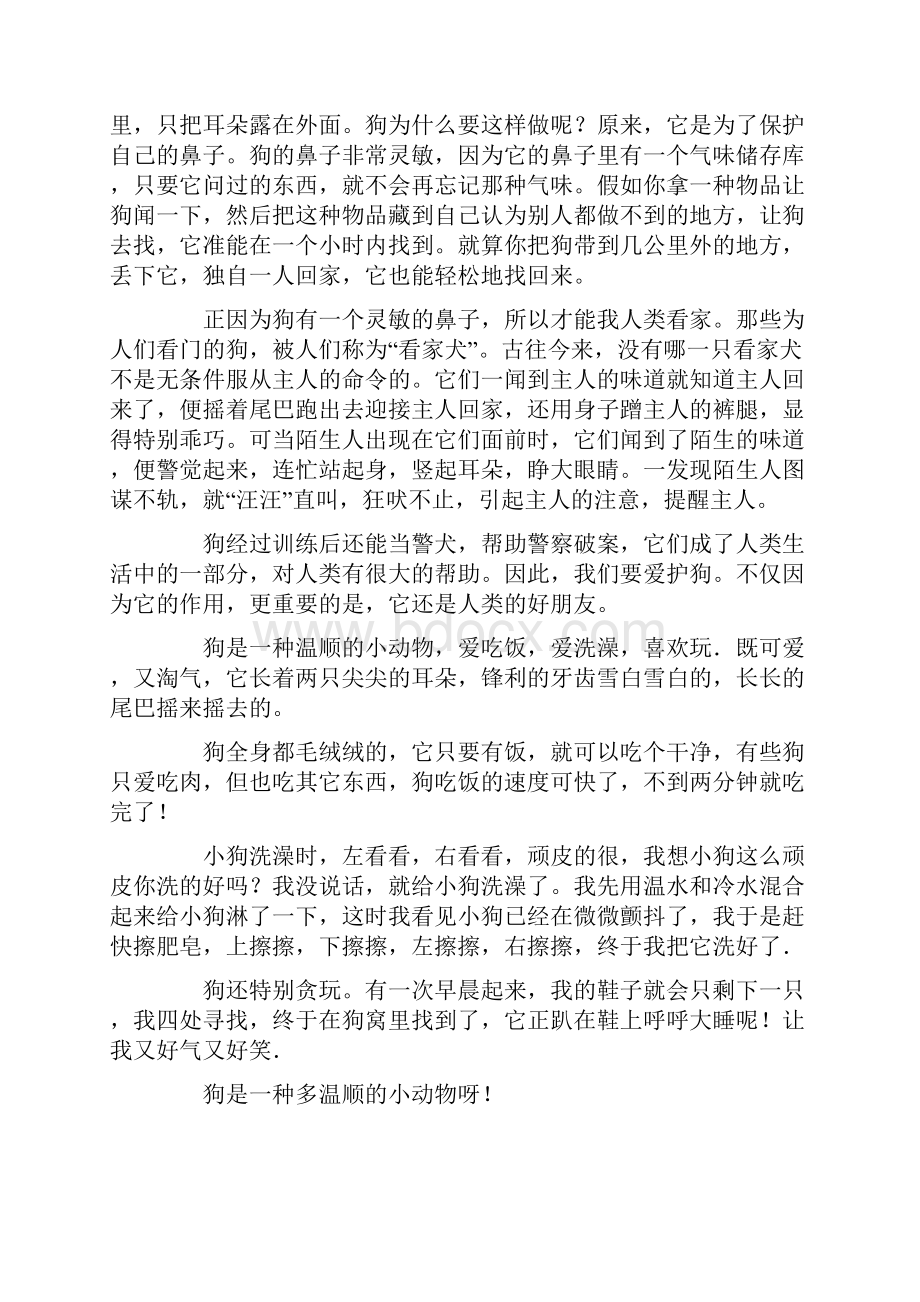 有关狗说明文的作文八篇.docx_第2页