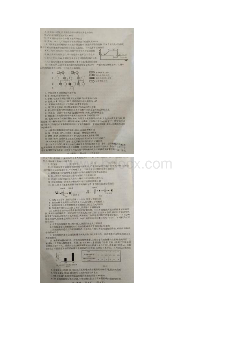 河南省濮阳市届高三生物摸底考试试题扫描版.docx_第3页