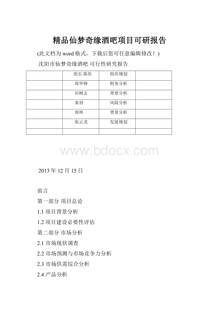 精品仙梦奇缘酒吧项目可研报告.docx