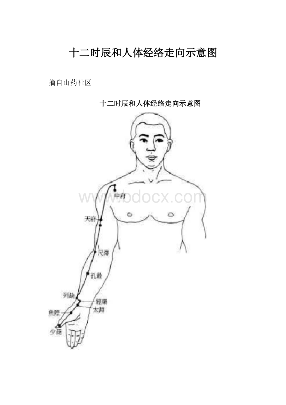 十二时辰和人体经络走向示意图.docx