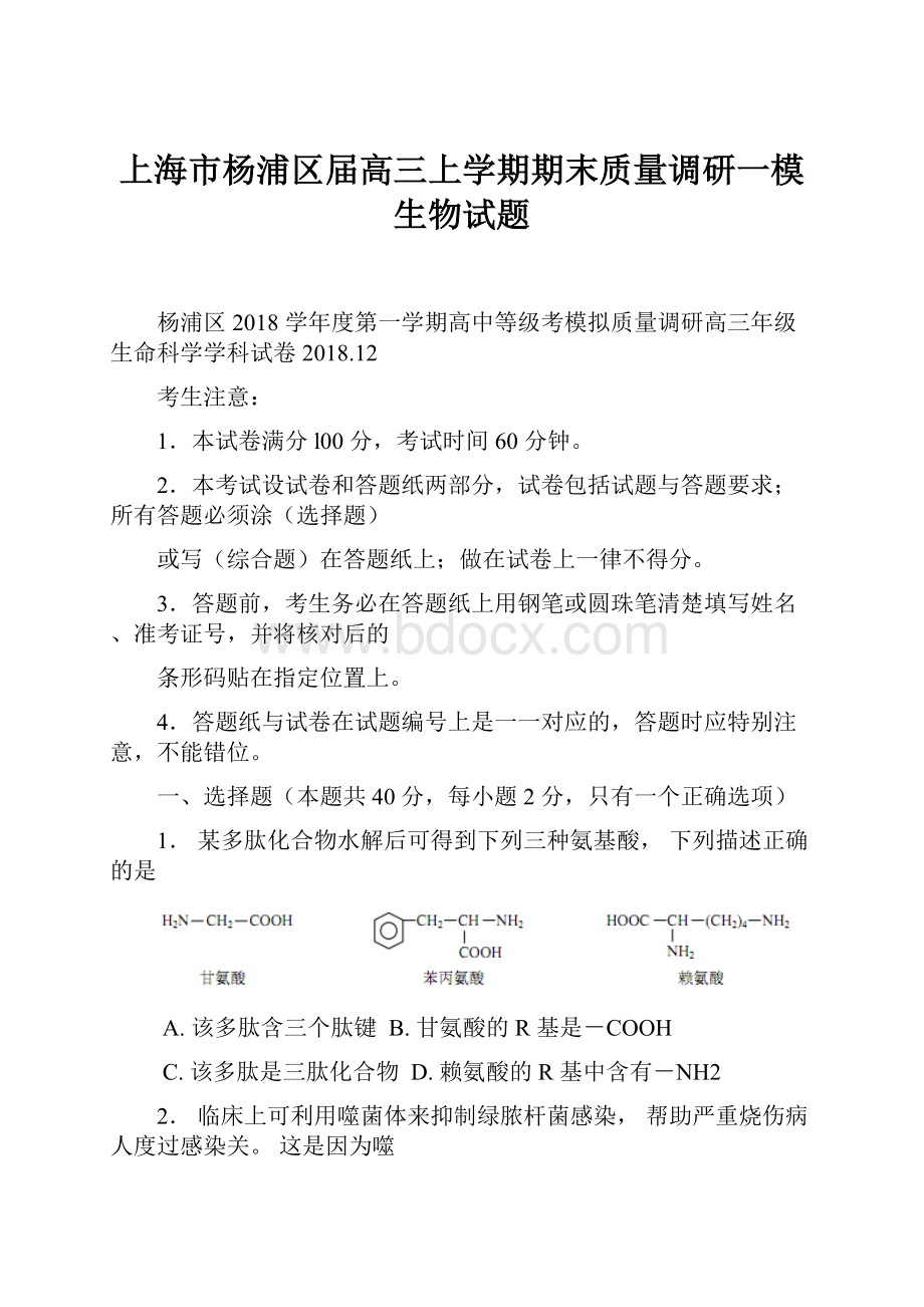 上海市杨浦区届高三上学期期末质量调研一模生物试题.docx_第1页