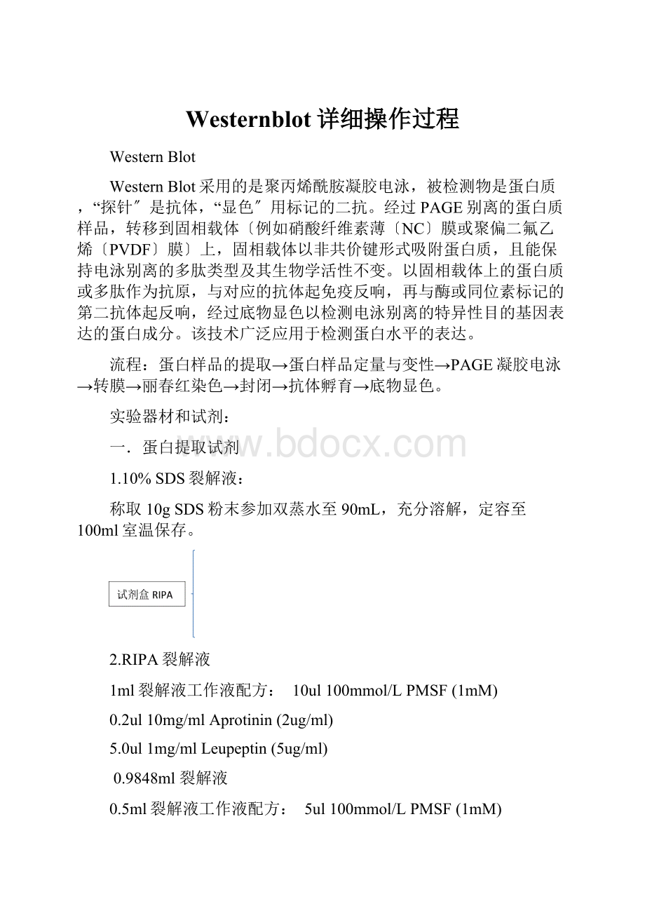 Westernblot详细操作过程.docx