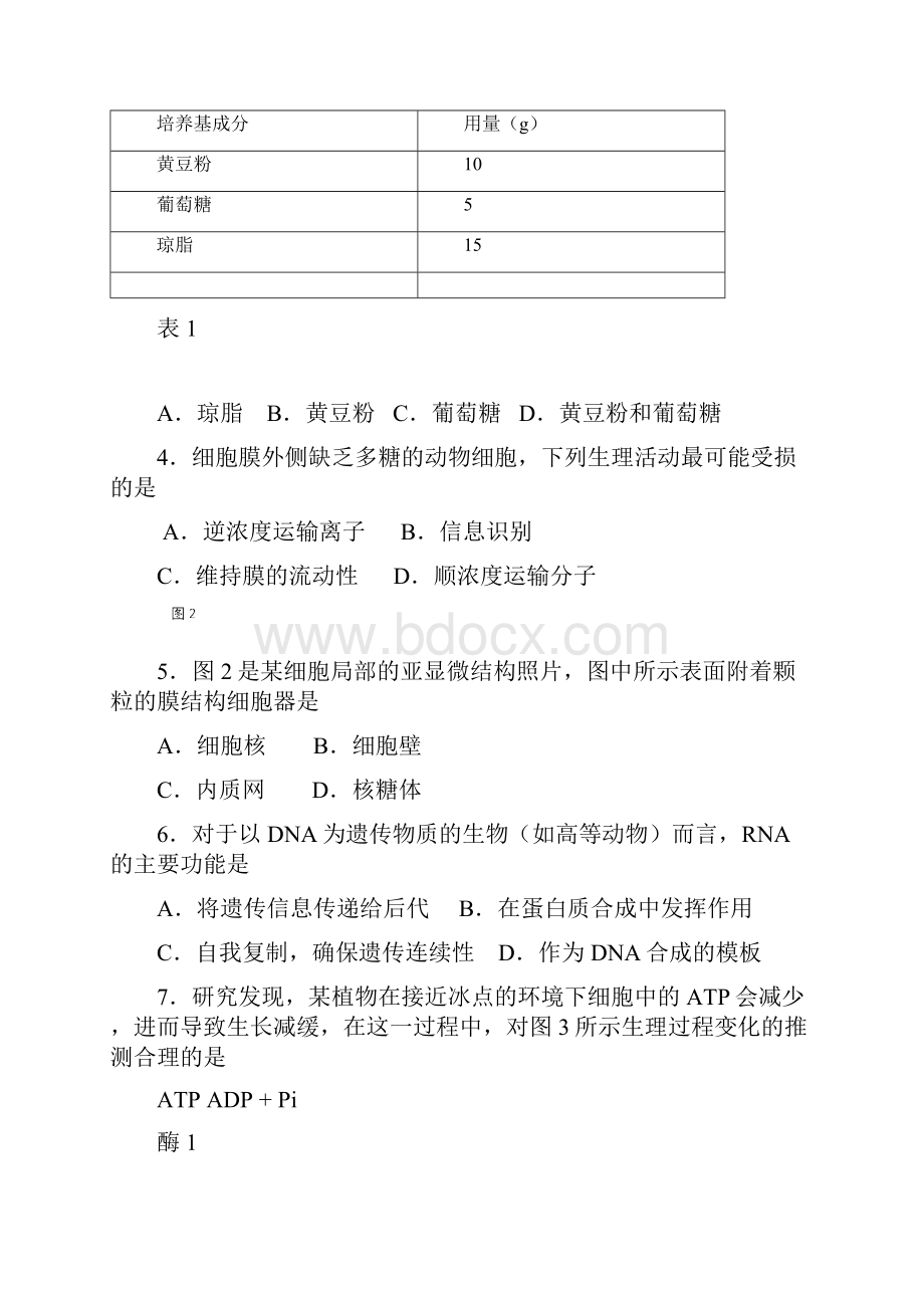 生物二模崇明有答案.docx_第2页