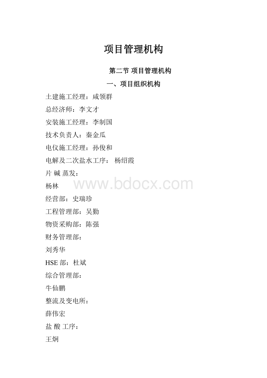 项目管理机构.docx